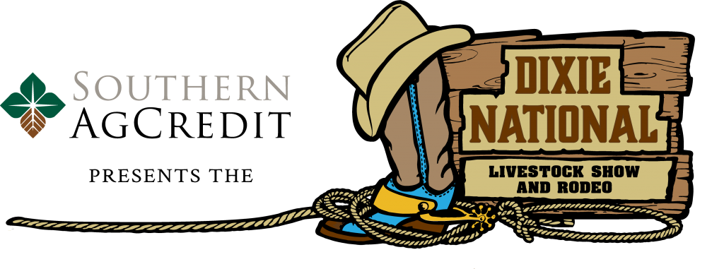 DNR logo DNR logo